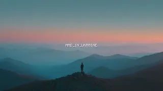 Maestro Barsik Не летів би але мушу Ой дівчино ніч минає MAD Remix Extended Version 