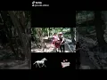 Download Lagu ZAKI \u0026 FIO - WISATA ALAM NAIK KUDA DI CIMORY