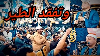سورة النمل يبهر الجمهور مباشر الشيخ محمود صابر المحله الكبرى الغربيه 20 5 2023 