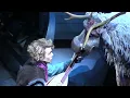 Frozen Song - Reindeers Are Better Than People – Live at Hyperion Show - Disneyland (HD)