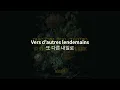 LUCUS- MONTAGEM CORAL X Vois sur ton chemin (PHONK REMIX) | 가사 | 번역 | 해석 | 한글 |
