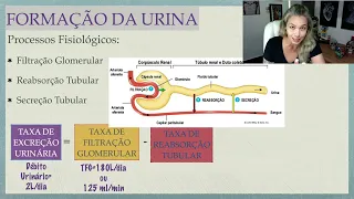 Formação da Urina: Aspectos Gerais