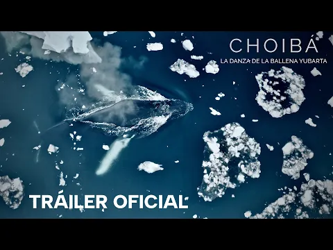CHOIBÁ: LA DANZA DE LA BALLENA YUBARTA - Tráiler Oficial