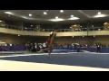Lagu Mario Lubian – Floor – 2015 Winter Cup Prelims