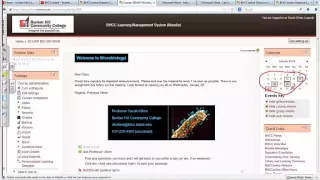 Using Moodle