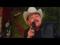 Elio Vega - La Gata Bajo La Lluvia