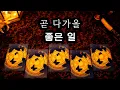Download Lagu [타로] 곧 다가올 좋은 일