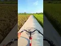 Download Lagu Jalanan indah tengah sawah #nature #view #pedesaan