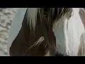 SkiAggu Blurred Final YT H264