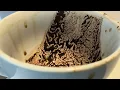SCORPIO WEEKLY COFFEE CUP READING 10 TO 16 AUGUST 2026