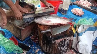 🔴 LIVE Now Big Fish Cutting 🐟🔪Insane Fish Cutting Skills 😱 You Must Watch!