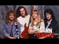 Download Lagu Damn Yankees - Where You Going Now ?