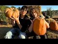 a day at the pumpkin patch