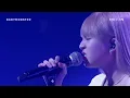 BABYMONSTER - CHIQUITA 'traitor' COVER (Clean Ver.)