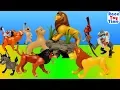 Download Lagu Disney The Lion King Toys plus Wild Zoo Animals Toys