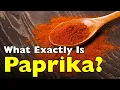 Lagu Wat is paprika nu eigenlijk? Het rode poeder waarvan je dacht dat je het kende [ID0610]