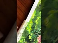 Download Lagu “The Secret World of Arrietty” study 💛🌱 #sketchbook #studioghibli #shorts #gouachepainting #fyp