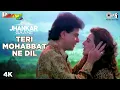 Download Lagu Teri Mohabbat Ne Dil Jhankar Song | Jitendra | Amrita Singh | Alka Yagnik | Kumar Sanu | Rang
