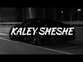 Kaley Sheshe - Addy Nagar, Aniket Jain