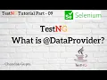 What is DataProvider in TestNG TestNG Tutorial Part