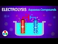 Electrolysis of Salt Water Explained - Aqueous Compounds GCSE Chemistry