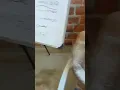 Download Lagu mi mamá me echo talco jejeje