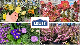LOWES NEW ARRIVALS March 2025 Garden Center Inventory Perennials Annual Flowers Shrubs Trees