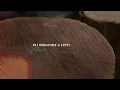Cody Lohden - Two Dozen Roses (Lyric Video)