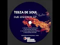 Download Lagu Tebza De Soul - Dub Chemistry (Dub Mix)