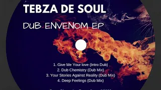 tebza de soul dub chemistry dub mix