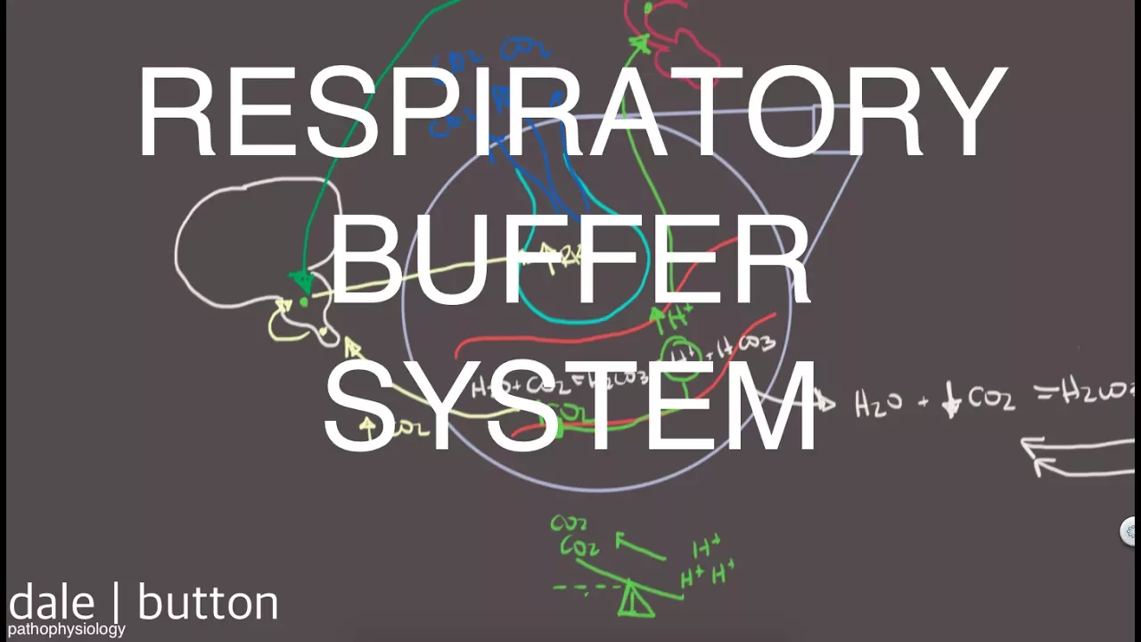 Respiratory Buffer System