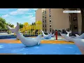 I feel great my residents feel great Transformation complete at 3 NYCHA complexes