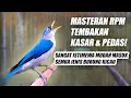 Download Lagu RAMBATAN PARUH MERAH GACOR!! MASTERAN RPM NEMBAK KASAR RAPAT PANJANG JERNIH COCOK BUAT SEMUA BURUNG