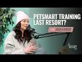Are PetSmart Dog Training Classes Worth It