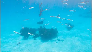 Cocos Keeling Islands: Swimming with Mantas & Exploring a Hidden Paradise – Ep. 282