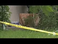 Download Lagu Boynton Beach police call string of shootings isolated incidents