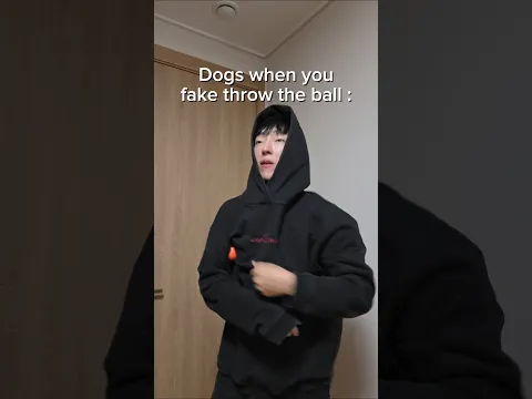 my Dog be like #beatbox #tiktok