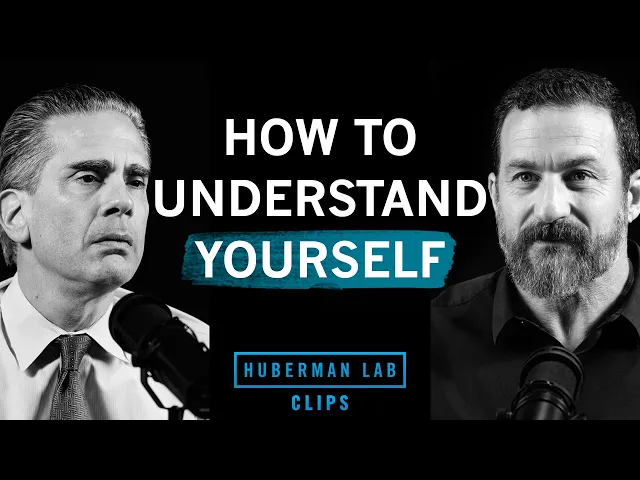 How to Better Understand Yourself | Dr. Paul Conti & Dr. Andrew Huberman
