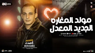 مولد المغاره الجديد المعدل        القشاش محمد اوشا   طلعات حظ هتكسر السماعات   شعبي جديد      دندنها