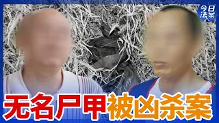 追查10余年“5436”无名尸甲被凶杀案终于揭开残酷真相！曾经的教师又为何走上连环报复杀人之路？—— 无名尸体被凶杀系列案