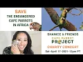 CAPE PARROT PROJECT LIVESTREAM CONCERT April 17th 12pm PT