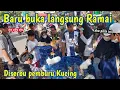 Download Lagu Harga kucing Persia di pasar bersih jababeka cikarang ❗ minggu ini