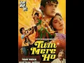 Lagu shisha chahe Tut bhi jaaye Dil Na kisi ka Tut paye Tum mere Ho full movie song