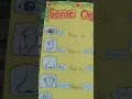 Sense organs project chart