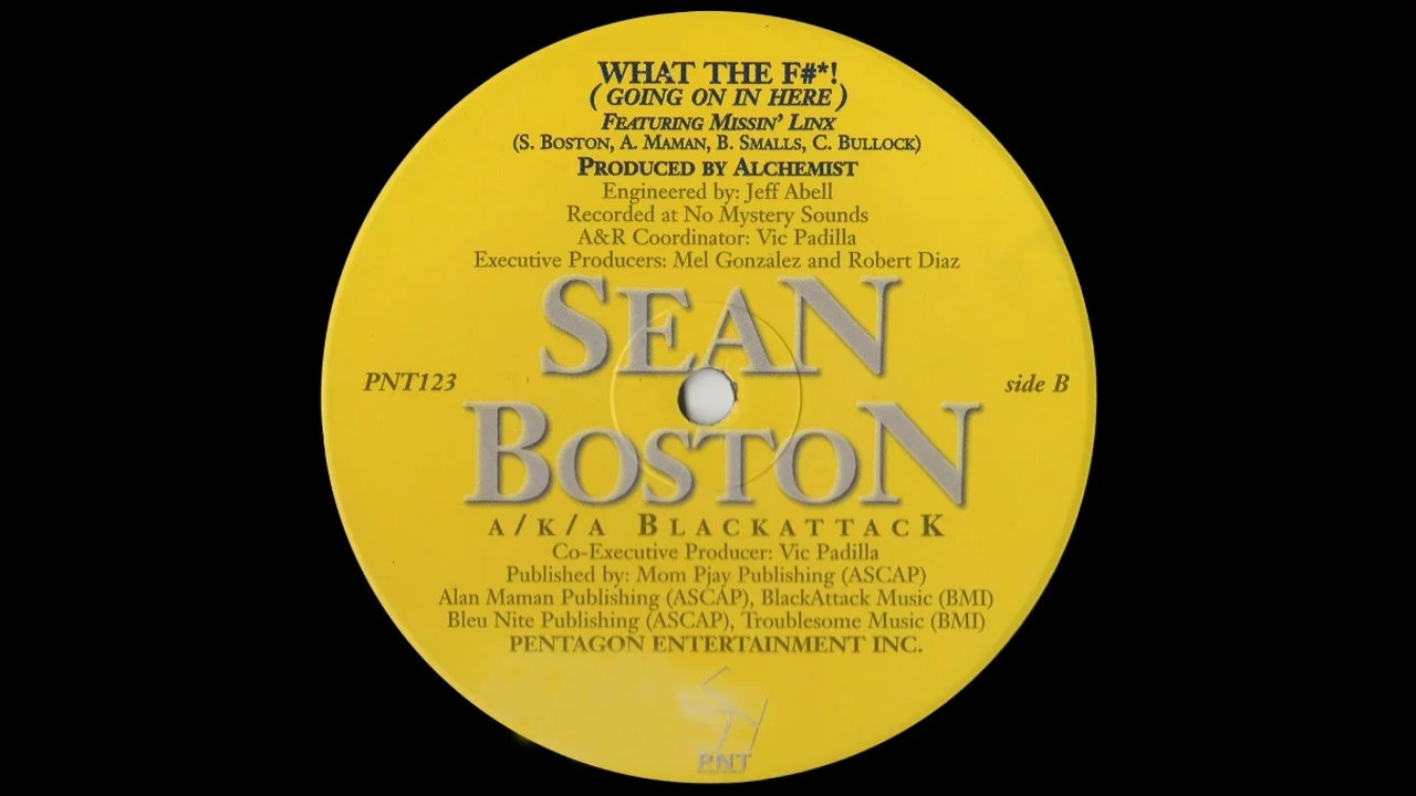 Sean Boston - What The Fuck [HD]