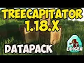 How to get Tree Chopper in Minecraft 1 18 2 - download install TreeCapitator 1 18 2 Datapack