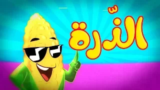 الذرة طيور بيبي Toyor Baby 