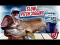 SLOW PITCH JIGGING 100 Miles Offshore The Fish Never Stopped Biting Yankee Capts Johnny Jigs