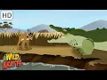 Creature Battles Every Creature Showdown Part 6 Wild Kratts