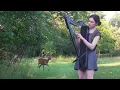 Download Lagu A deer turned my harp session into a Disney movie